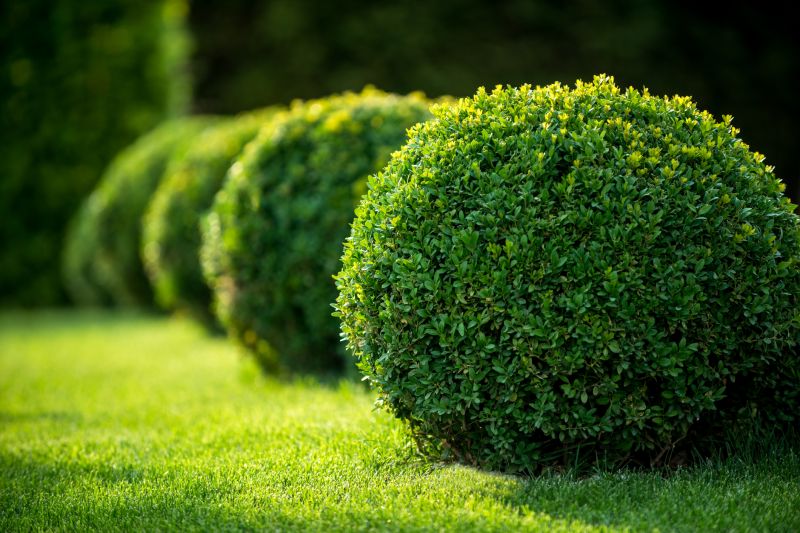 Trimmed Bushes with Clean Edges