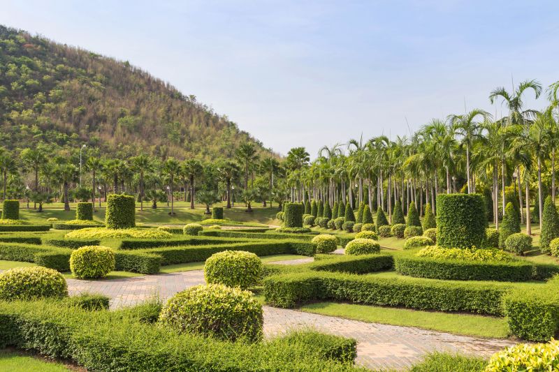 Landscape with Well-Maintained Shrubs