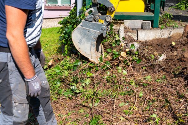 Hedge Removal Service in Jonesboro