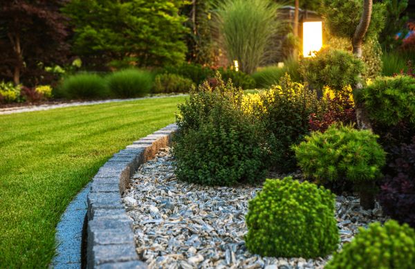 Cost of Bush Relocation in Jonesboro