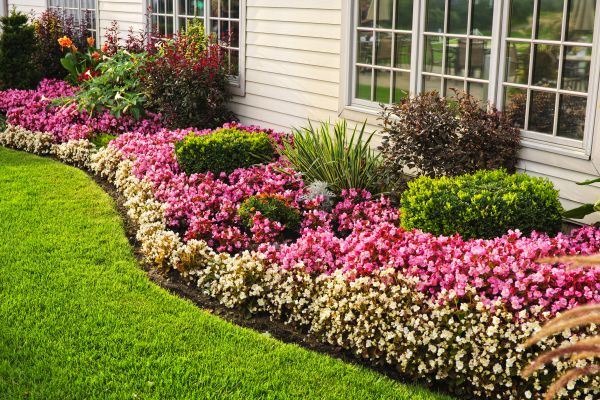 Flowerbed Maintenance