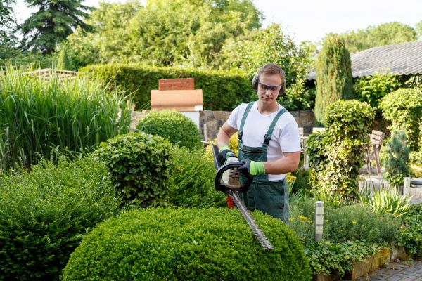 Shrubs Trimming in Jonesboro